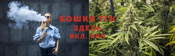 трава Богородицк
