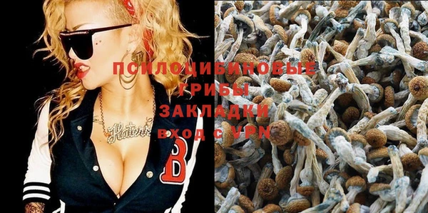 прущая мука Белокуриха